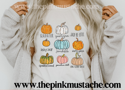 Pumpkin Varieties Funny Fall Shirt/ Boutique Bella Canvas  Tee/ Fall Layering Tee / Teachers Tee Youth and Adult Sizing